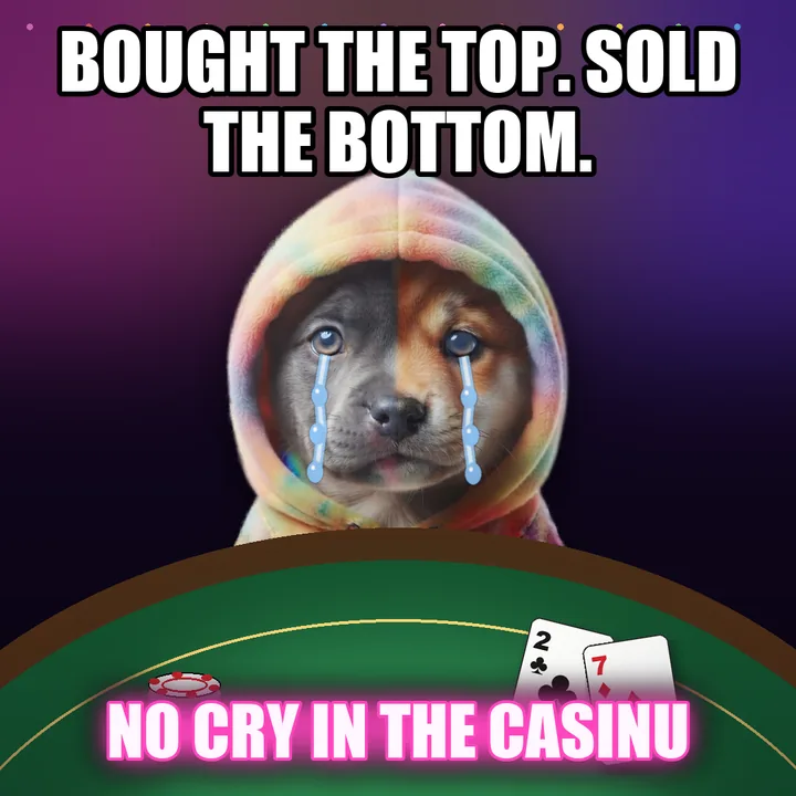 Pitbullinu crying at the casino table: bought the top, sold the bottom. No cry in the casinu.