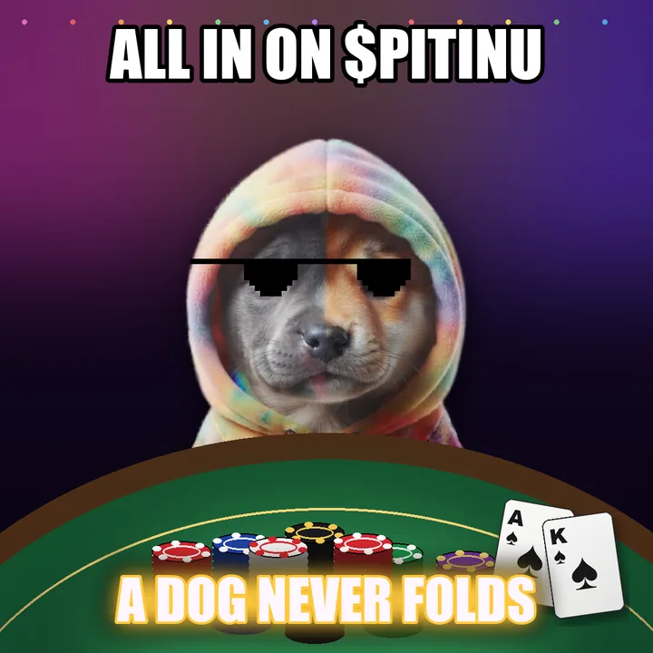 Pitbullinu going all in on $PITINU: a dog never folds.