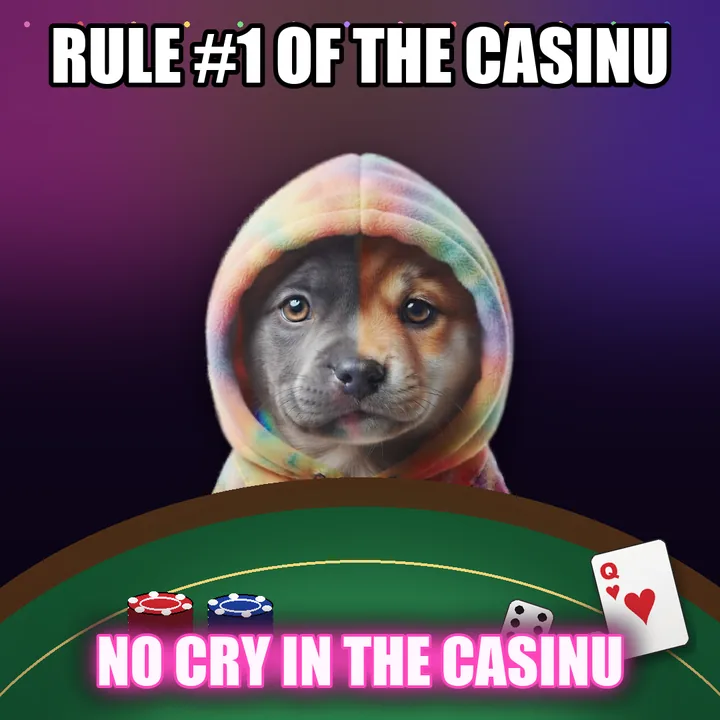 Rule number one of the casinu: no cry in the casinu.